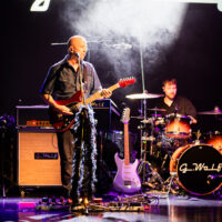 Koncert G.Wolf