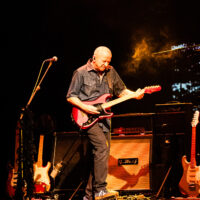 Koncert G.Wolf
