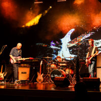 Koncert G.Wolf