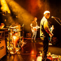 Koncert G.Wolf