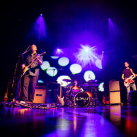 Koncert G.Wolf